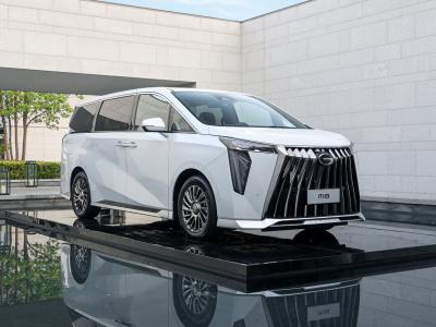 Каркасные шторки на GAC M8 Минивэн