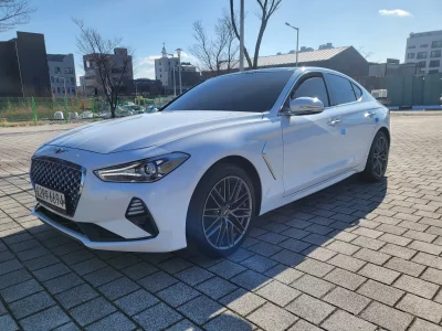 Каркасные шторки на Genesis G70