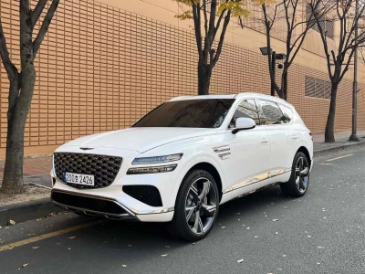 Каркасные шторки на Genesis GV80